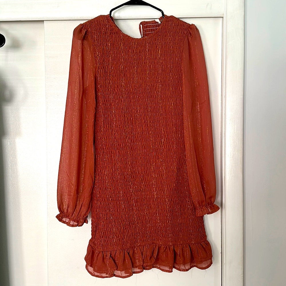 Shimmery long sleeve dress